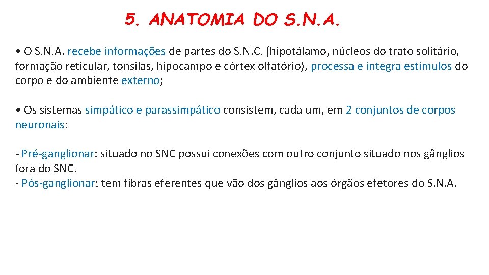 5. ANATOMIA DO S. N. A. • O S. N. A. recebe informações de