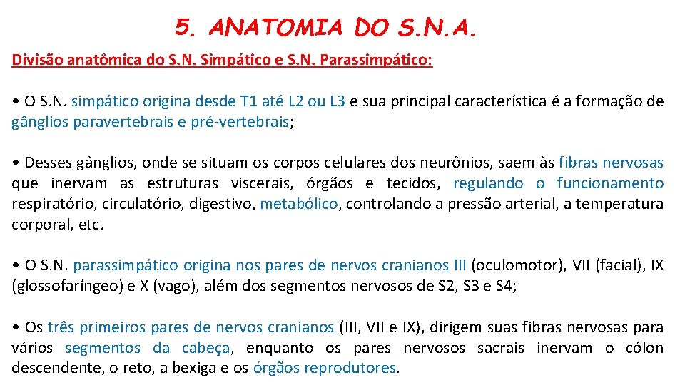 5. ANATOMIA DO S. N. A. Divisão anatômica do S. N. Simpático e S.