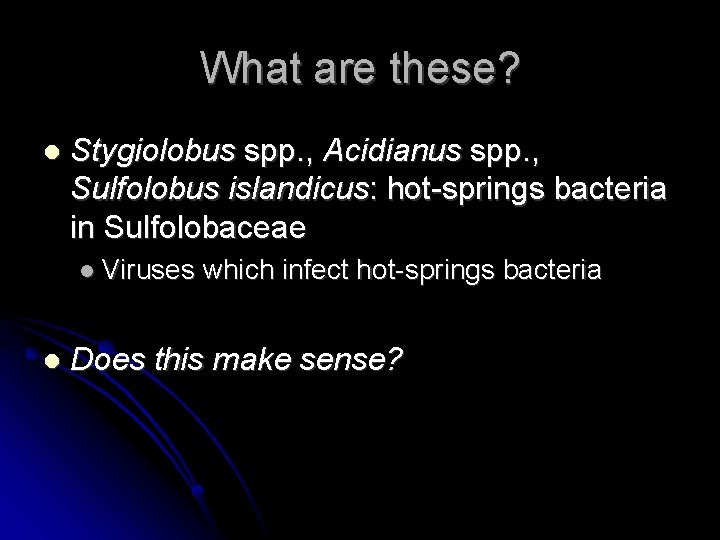 What are these? Stygiolobus spp. , Acidianus spp. , Sulfolobus islandicus: hot-springs bacteria in