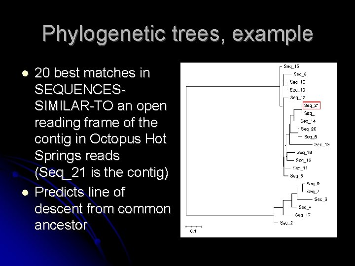 Phylogenetic trees, example 20 best matches in SEQUENCESSIMILAR-TO an open reading frame of the