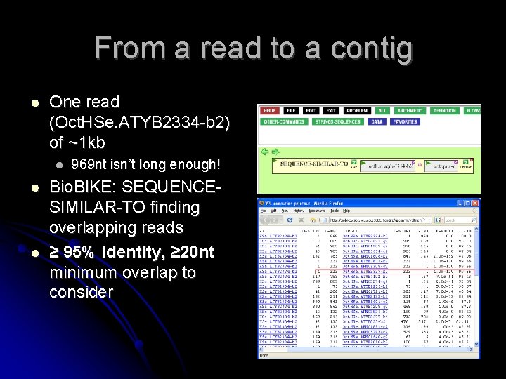 From a read to a contig One read (Oct. HSe. ATYB 2334 -b 2)
