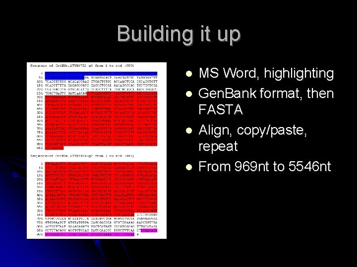 Building it up MS Word, highlighting Gen. Bank format, then FASTA Align, copy/paste, repeat