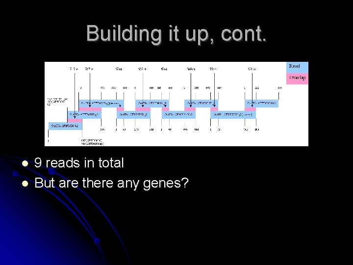 Building it up, cont. 9 reads in total But are there any genes? 