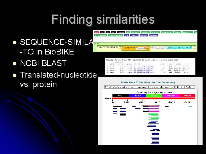 Finding similarities SEQUENCE-SIMILAR -TO in Bio. BIKE NCBI BLAST Translated-nucleotide vs. protein 