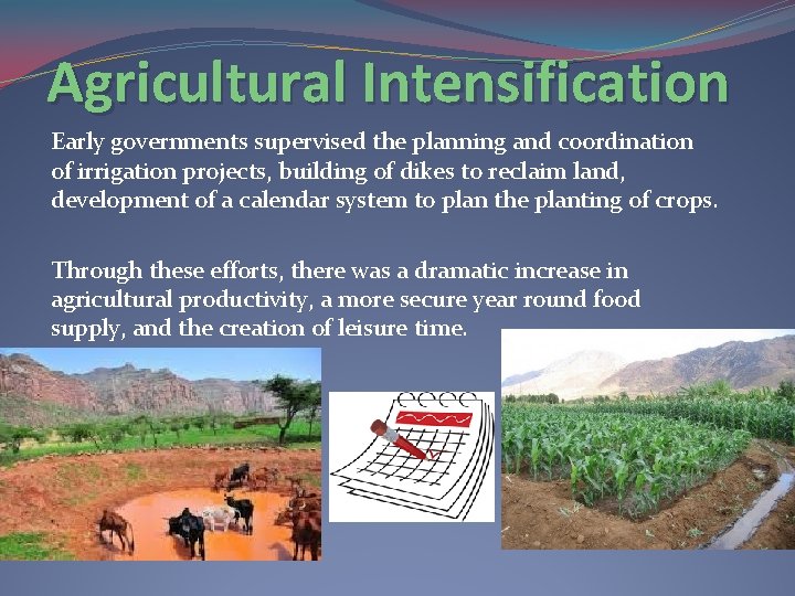 Agricultural Intensification Early governments supervised the planning and coordination of irrigation projects, building of