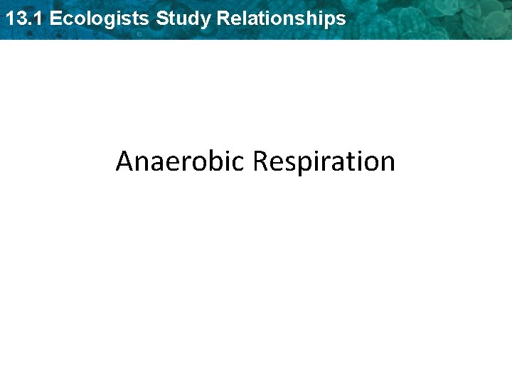 13. 1 Ecologists Study Relationships Anaerobic Respiration - Fermentation Anaerobic Respiration 