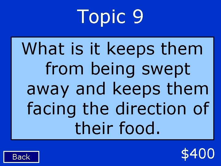 Topic 9 What is it keeps them from being swept away and keeps them