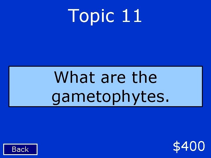 Topic 11 What are the gametophytes. Back $400 