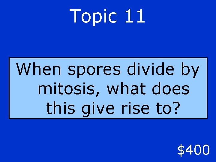 Topic 11 When spores divide by mitosis, what does this give rise to? $400