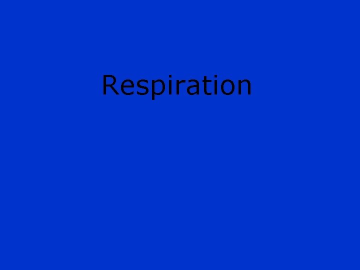 Respiration 