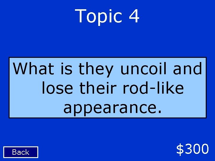 Topic 4 What is they uncoil and lose their rod-like appearance. Back $300 