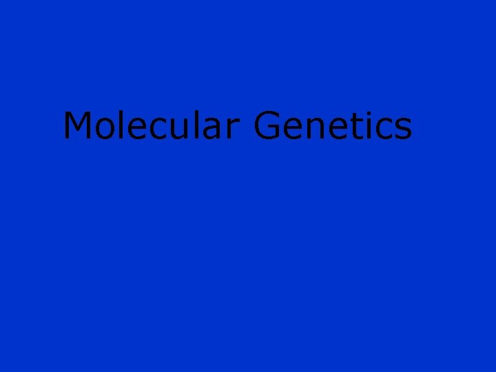 Molecular Genetics 