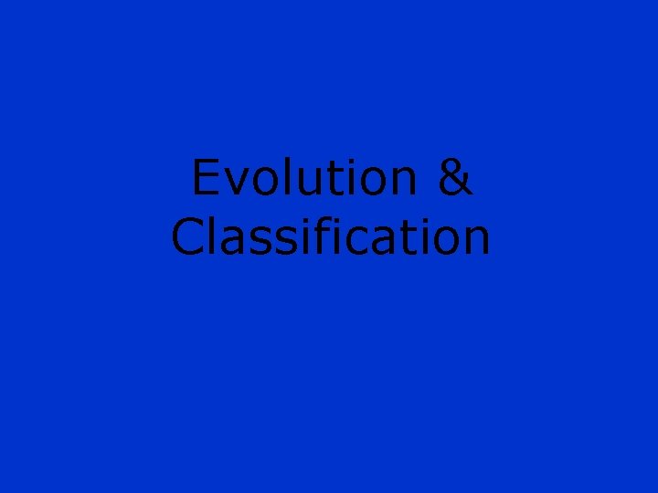 Evolution & Classification 