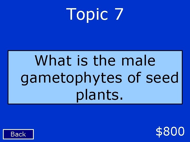 Topic 7 What is the male gametophytes of seed plants. Back $800 