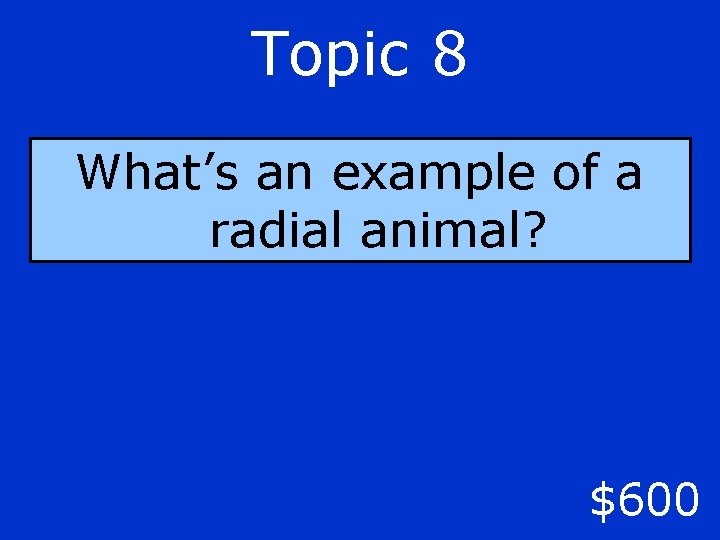 Topic 8 What’s an example of a radial animal? $600 