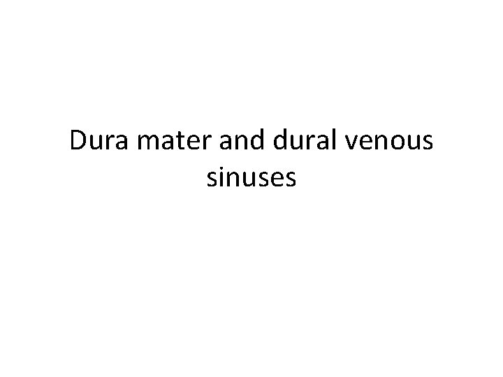Dura mater and dural venous sinuses 
