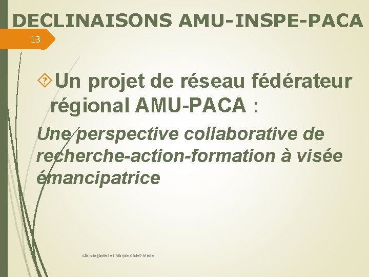 DECLINAISONS AMU-INSPE-PACA 13 Un projet de réseau fédérateur régional AMU-PACA : Une perspective collaborative