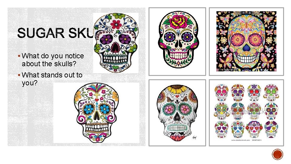 § What do you notice about the skulls? § What stands out to you?
