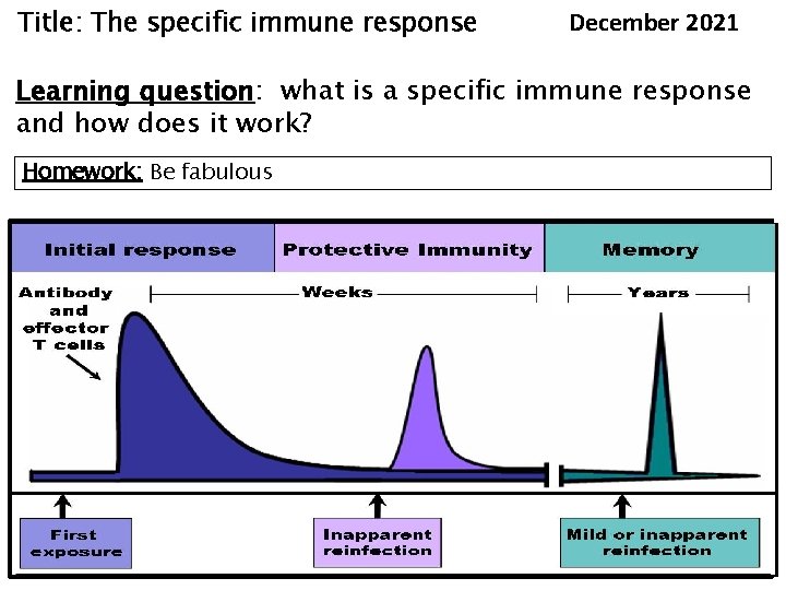 Title: The specific immune response December 2021 Learning question: what is a specific immune