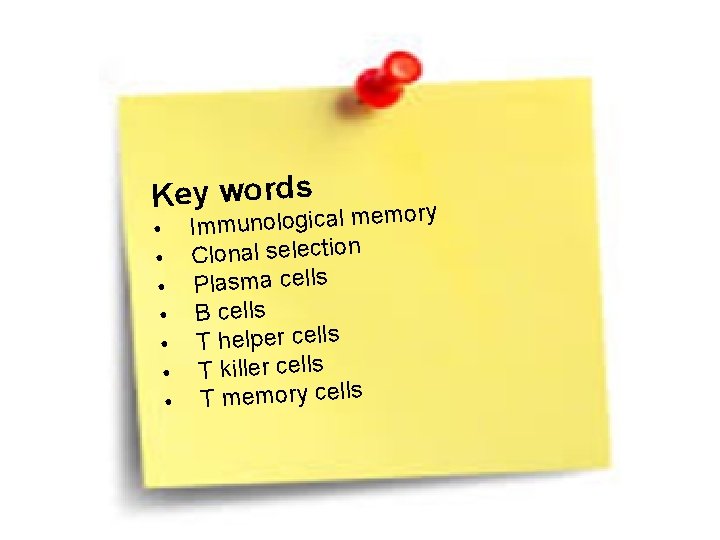 Key words • • mory Immunological me Clonal selection Plasma cells B cells T