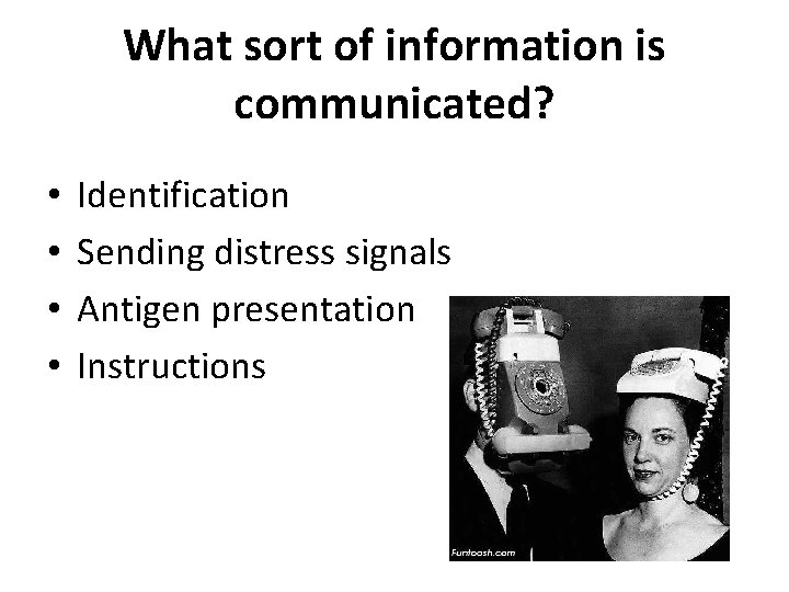 What sort of information is communicated? • • Identification Sending distress signals Antigen presentation