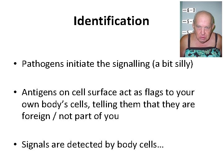 Identification • Pathogens initiate the signalling (a bit silly) • Antigens on cell surface