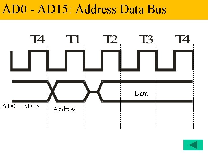 AD 0 - AD 15: Address Data Bus Data AD 0 – AD 15