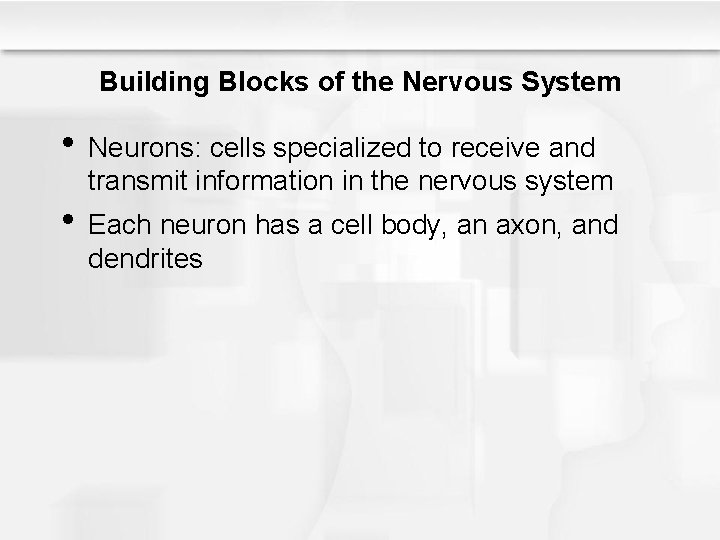 Building Blocks of the Nervous System • Neurons: cells specialized to receive and transmit