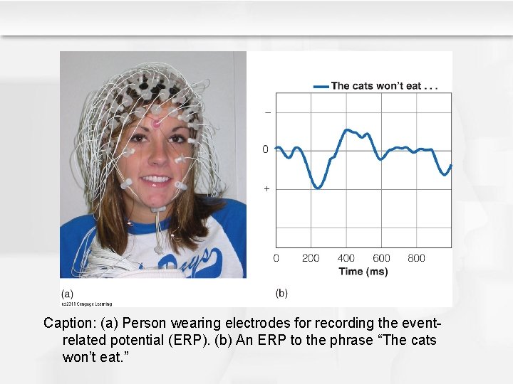 Caption: (a) Person wearing electrodes for recording the eventrelated potential (ERP). (b) An ERP