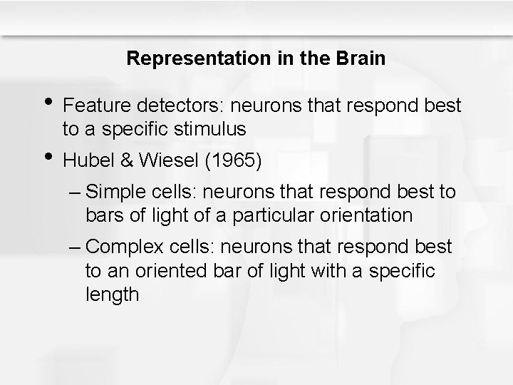 Representation in the Brain • Feature detectors: neurons that respond best to a specific