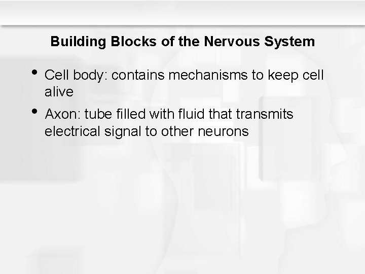 Building Blocks of the Nervous System • Cell body: contains mechanisms to keep cell