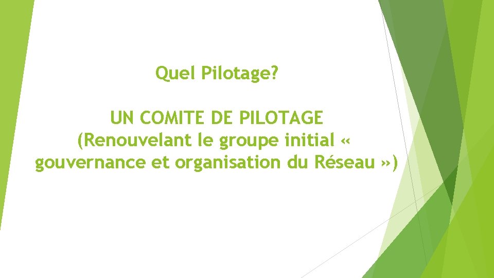 Quel Pilotage? UN COMITE DE PILOTAGE (Renouvelant le groupe initial « gouvernance et organisation