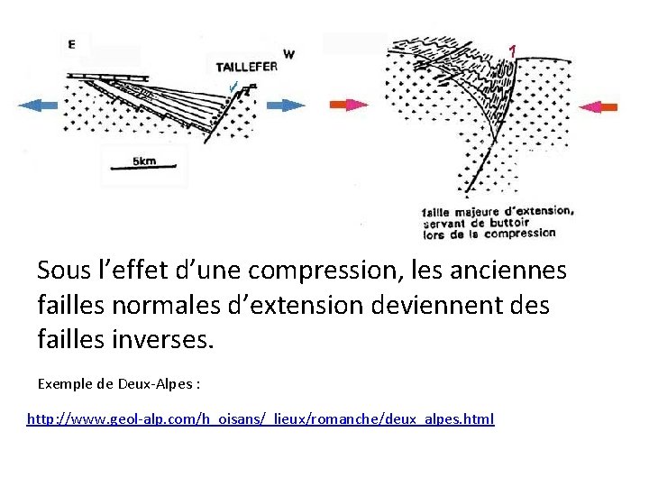 Sous l’effet d’une compression, les anciennes failles normales d’extension deviennent des failles inverses. Exemple