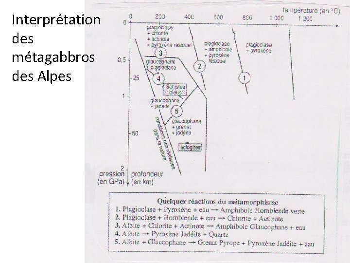 Interprétation des métagabbros des Alpes 