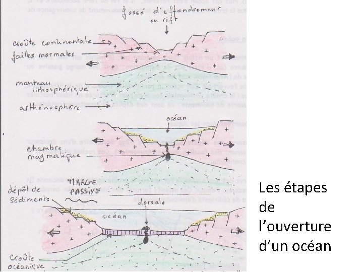 Les étapes de l’ouverture d’un océan 