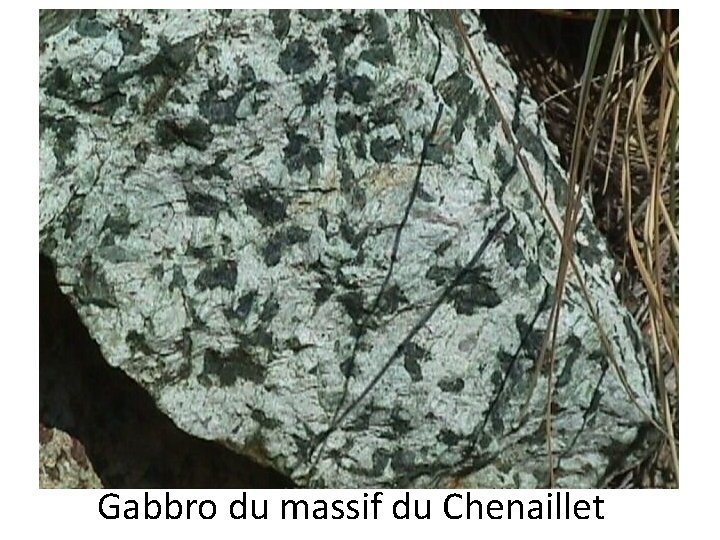 Gabbro du massif du Chenaillet 