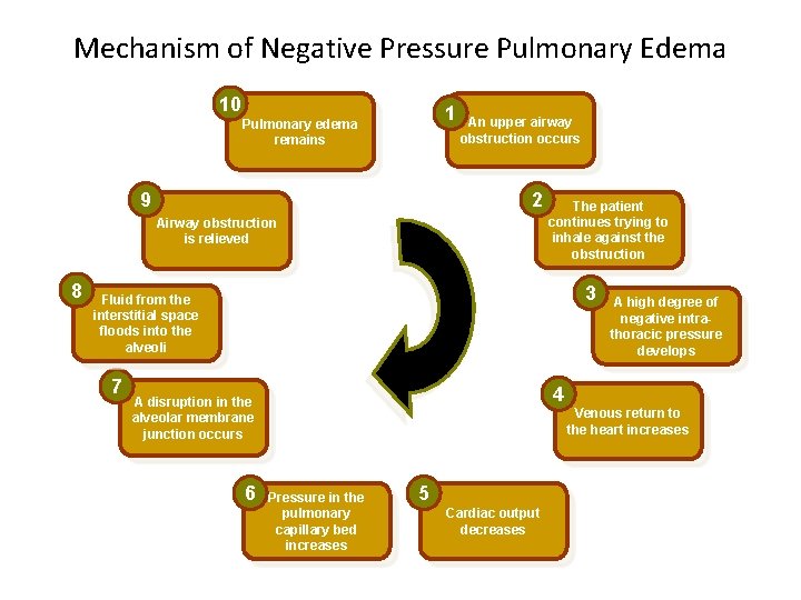 Mechanism of Negative Pressure Pulmonary Edema 10 1 Pulmonary edema remains 9 An upper