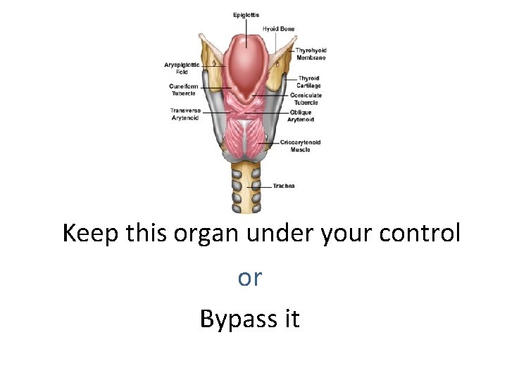 Keep this organ under your control or Bypass it 