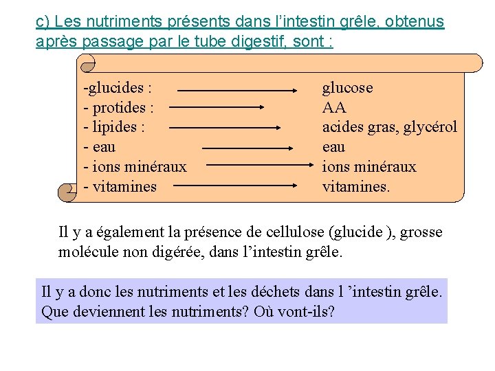 c) Les nutriments présents dans l’intestin grêle, obtenus après passage par le tube digestif,