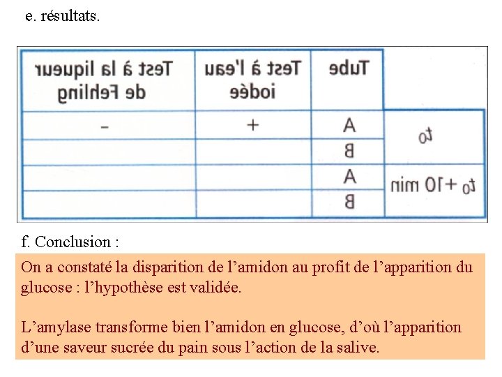 e. résultats. f. Conclusion : On a constaté la disparition de l’amidon au profit