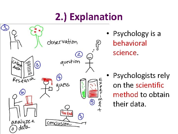 2. ) Explanation • Psychology is a behavioral science. • Psychologists rely on the
