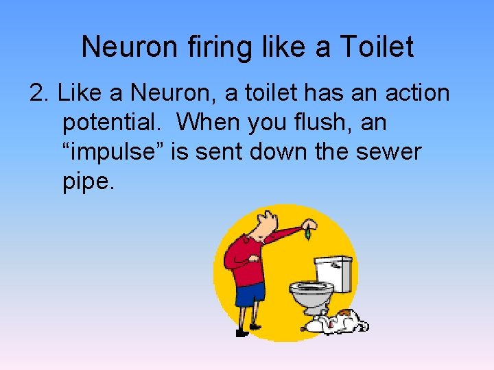 Neuron firing like a Toilet 2. Like a Neuron, a toilet has an action