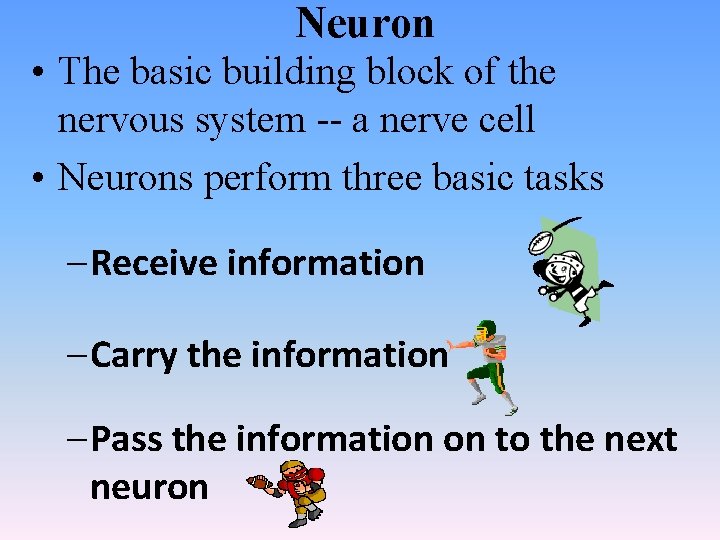 Neuron • The basic building block of the nervous system -- a nerve cell