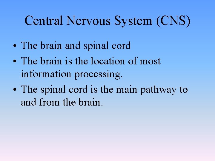 Central Nervous System (CNS) • The brain and spinal cord • The brain is