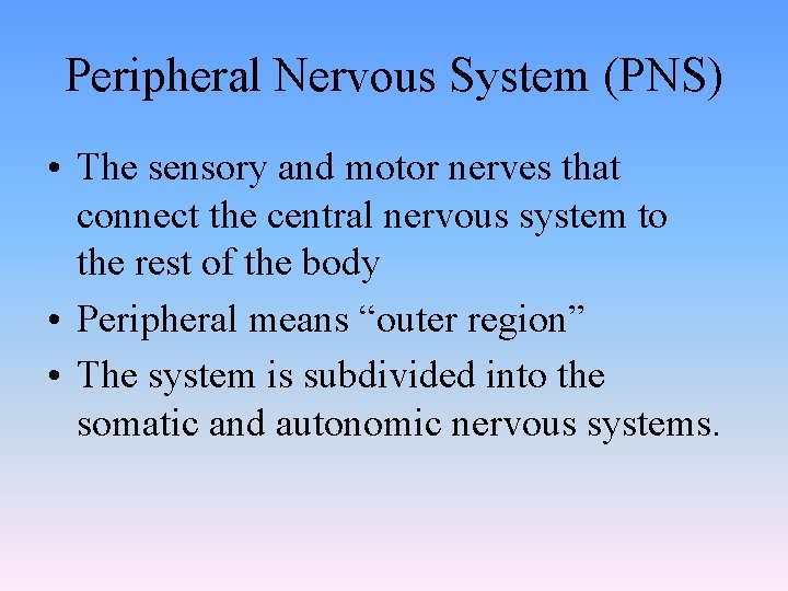 Peripheral Nervous System (PNS) • The sensory and motor nerves that connect the central