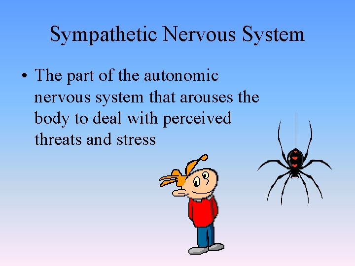 Sympathetic Nervous System • The part of the autonomic nervous system that arouses the