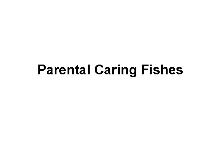 Parental Caring Fishes 