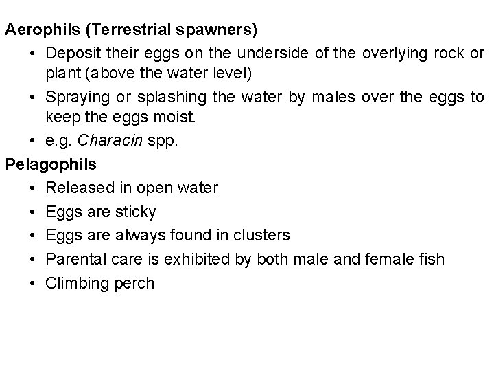 Aerophils (Terrestrial spawners) • Deposit their eggs on the underside of the overlying rock