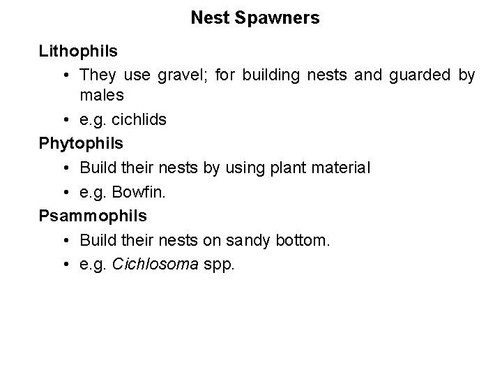 Nest Spawners Lithophils • They use gravel; for building nests and guarded by males