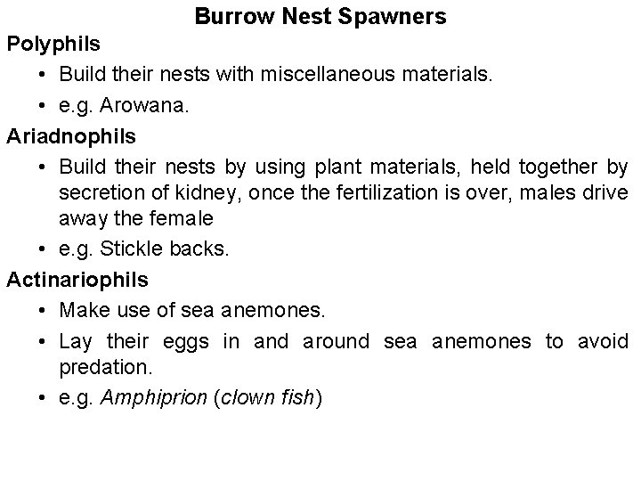 Burrow Nest Spawners Polyphils • Build their nests with miscellaneous materials. • e. g.